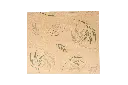 9988208-vetvrij-papier-33x38cm-hamburgervellen-bamboe-51552024527186.webp