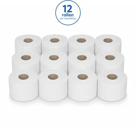 NaturaSterk Toilet Papier Mini Jumbo Cellulose 2 Laags  4,5 kg +/- 108 m+/- 12 Rollen 