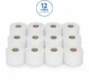 NaturaSterk Toilet Papier Mini Jumbo Cellulose 2 Laags  4,5 kg +/- 108 m+/- 12 Rollen 