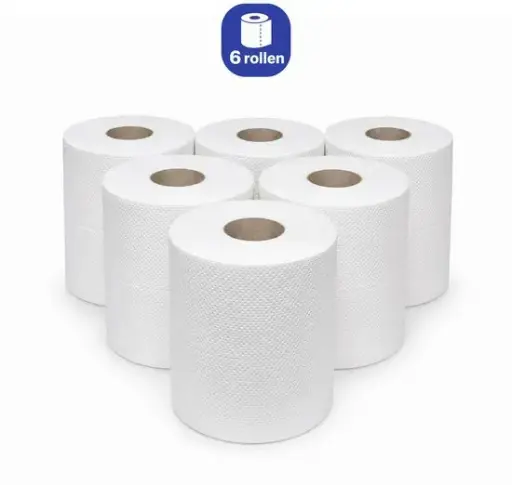[NS140031] NaturaSterk Midi Poetspapier Cellulose 2-laags Met Zakje 6 rollen 4 Kg YT pr/02807 