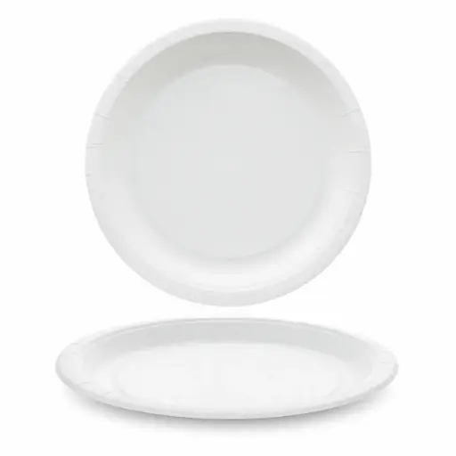 [NM120037] Witte Kartonnen Borden Ø 23 cm – 1000 Stuks – Biologisch Afbreekbare Wegwerpborden – Plasticvrij – Voor Warme en Koude Gerechten
