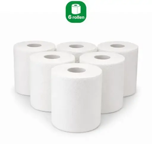 [NS140029] NaturaSterk Midi Poetspapier Cellulose 2-laags 500 gram, 6 rollen 3 Kg SLT pap-1005-tr